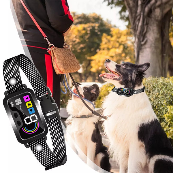 Anti Bark Dog Training Collar